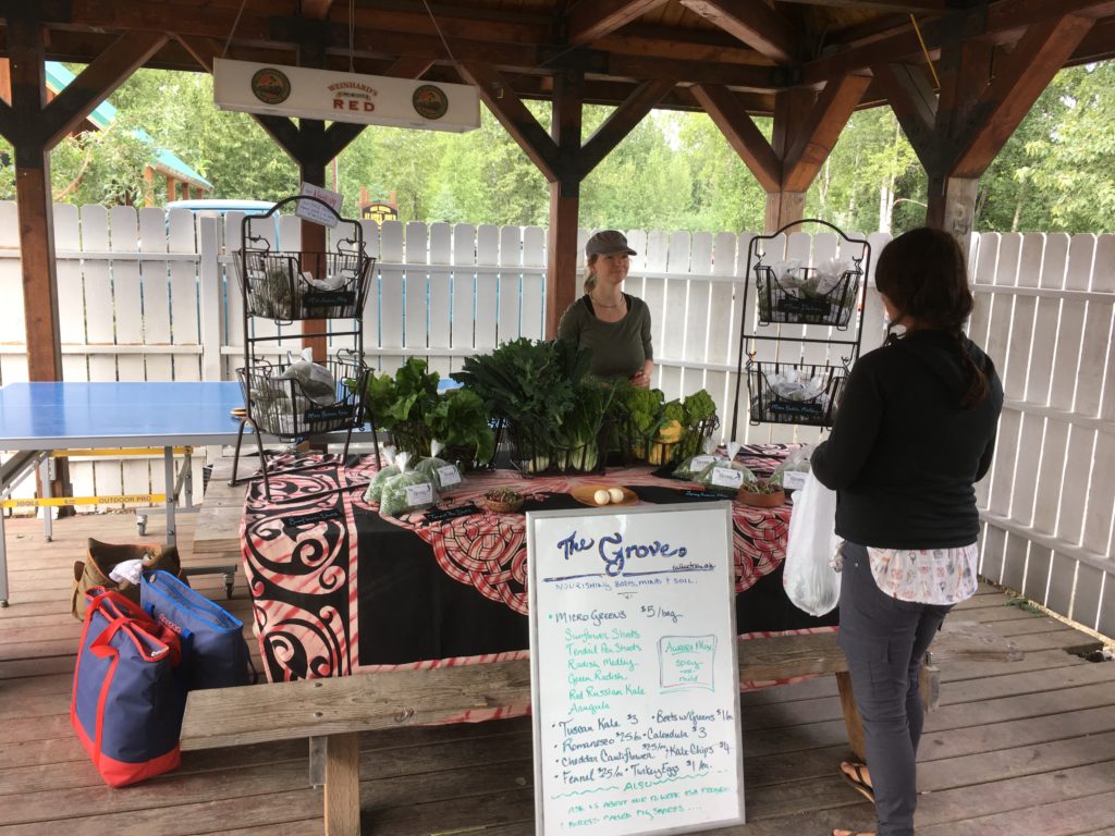 Mindy Knapp at the Talkeetna Farmers Market selling produce from The Grove, a cold climate permaculture farm in Talkeetna, that practices Alaska permaculture and like other Denali farms shares their Talkeetna grown produce 